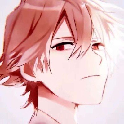 中俄元首会见记者